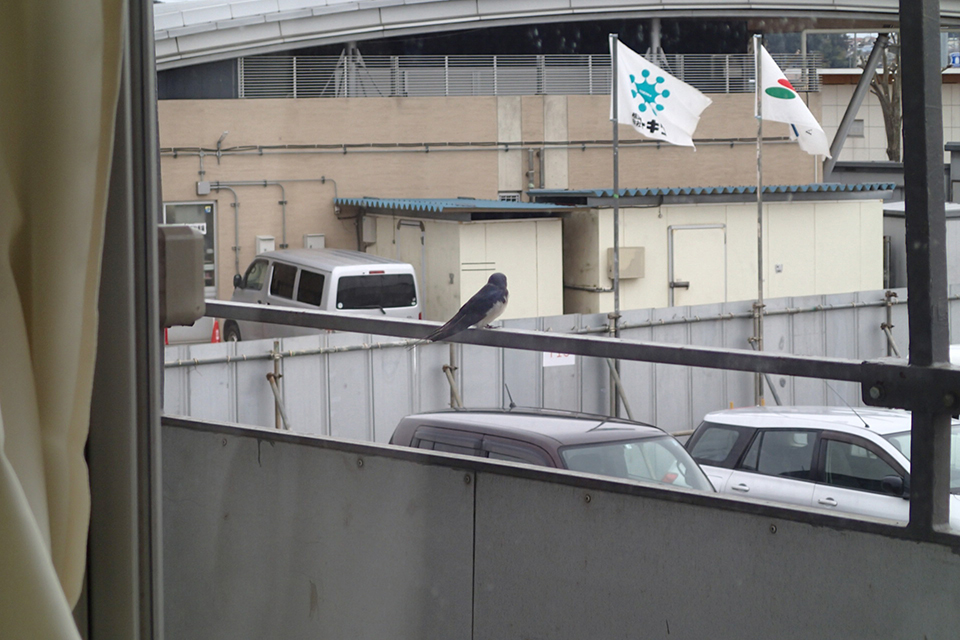 【道の駅しょうなん】鉄骨建方に向けて