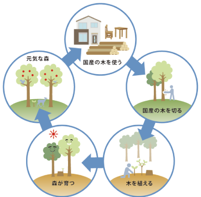 日本の木を使うことは、森を守ることにつながっています。