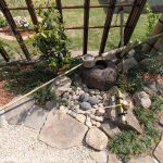 手水鉢のある庭