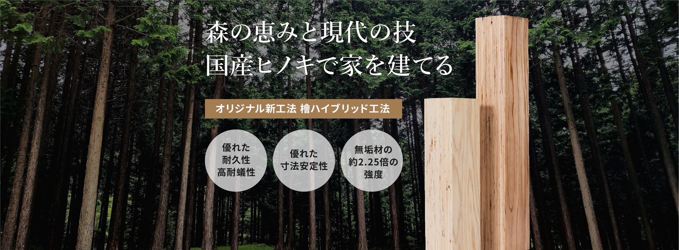 国産ヒノキで家を建てる