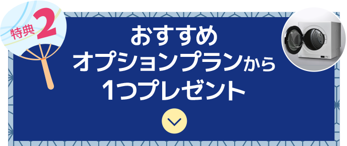 おすすめオプションプランから1つプレゼント