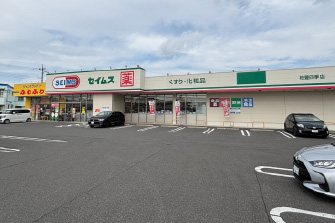ドラッグセイムス柏豊四季店