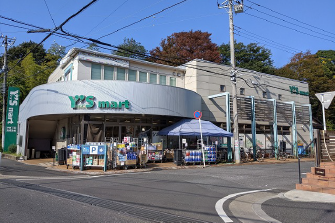 ワイズマート 船橋法典店