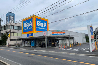ビッグ・エー 豊四季店