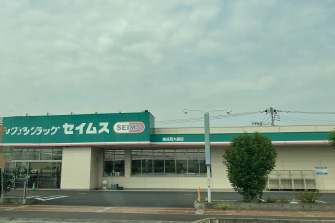 ドラッグセイムス 越谷西大袋店