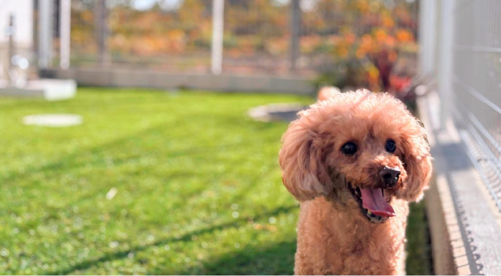 ペトリエタウン千葉ニュータウン中央3