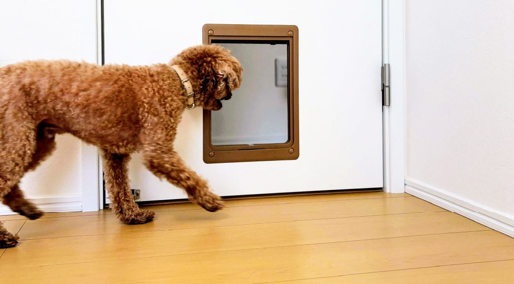 ペトリエタウン千葉ニュータウン中央3